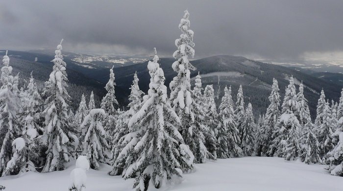 064 Expedice GEMINI 2009